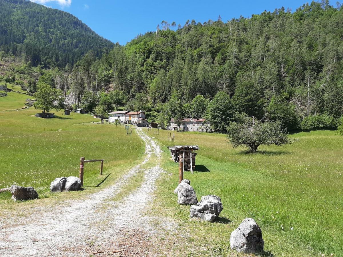 Kalipe Dolomiti Apartamento Soffranco Exterior foto