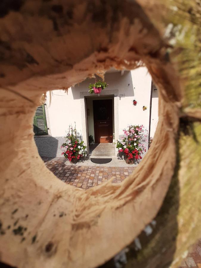 Kalipe Dolomiti Apartamento Soffranco Exterior foto